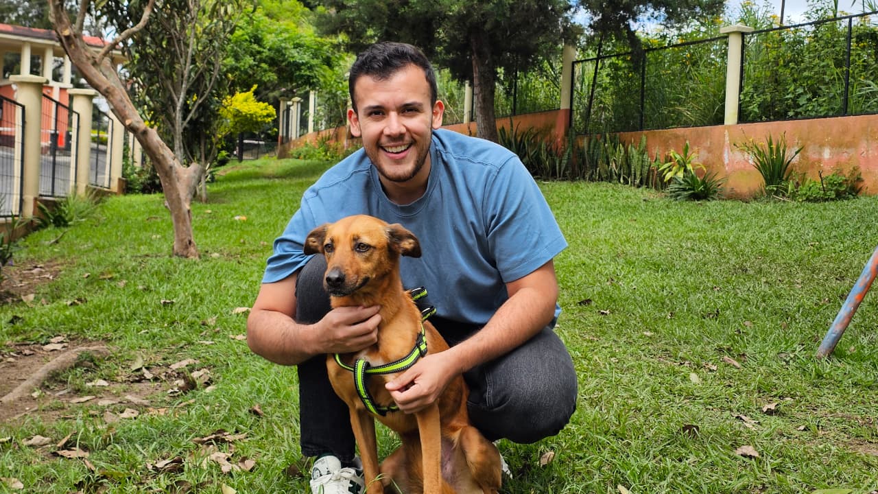 Cómo mejorar la salud de tu mascota en solo 28 días